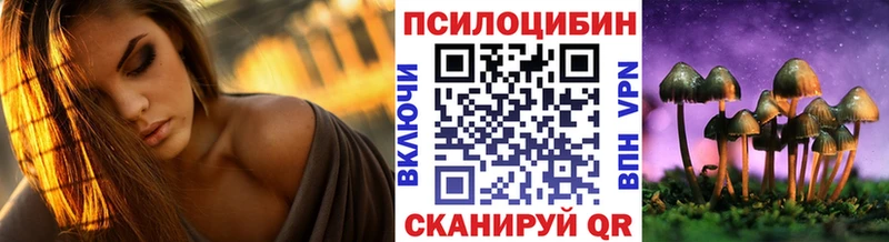 купить закладку  Мирный  Галлюциногенные грибы Psilocybe 